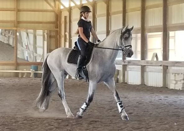Chloe riding