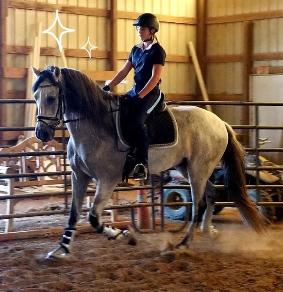Chloe Riding