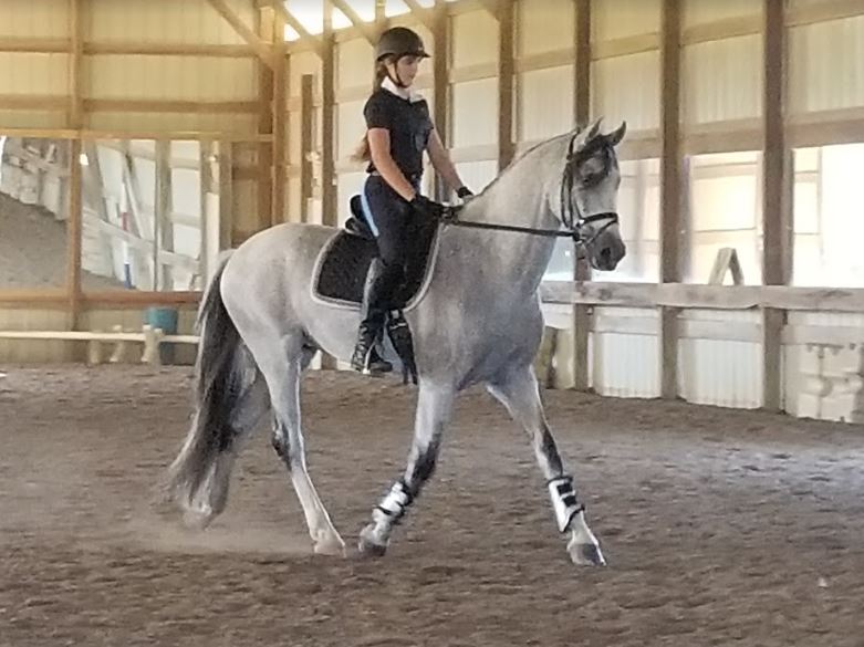 Chloe Riding