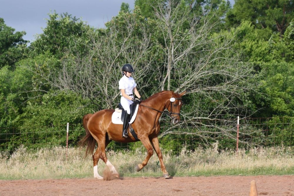 Chloe riding Lupo
